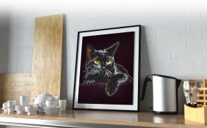 DD5-001-Midnight-cat