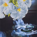 DD5.019diamonddotzwaterdroplet