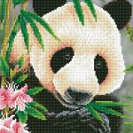 DD7.040PandaPrince