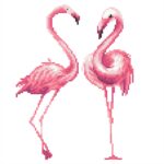 49353FLAMINGODUOarea