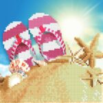 50447-Flip Flops (1)