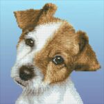 50462-Puppy (1)