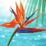 50498-Bird of Paradise (1)