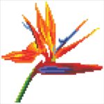 50498-diamond area (1)