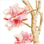 DD16.014diamondarea