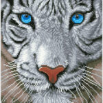 DD8.016_diamond_area